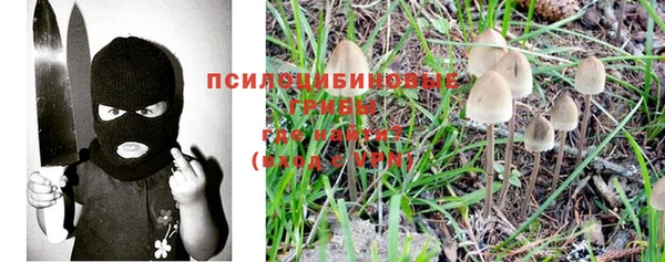 винт Аркадак