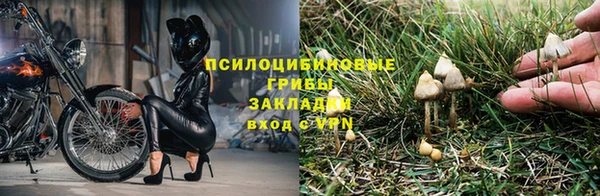 прущие крисы Лиски