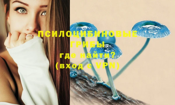 первитин Арсеньев