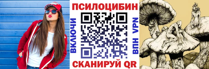 хочу   mega ТОР  Псилоцибиновые грибы Psilocybe  Сенгилей 